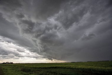 Bozkır Fırtınası Kanada 'yı Bulutlandırıyor