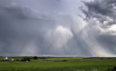 Bozkır Fırtınası Kanada 'yı Bulutlandırıyor