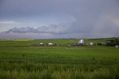 Bozkır Fırtınası Kanada 'yı Bulutlandırıyor