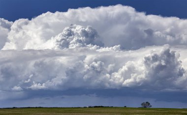 Bozkır Fırtınası Kanada 'yı Bulutlandırıyor
