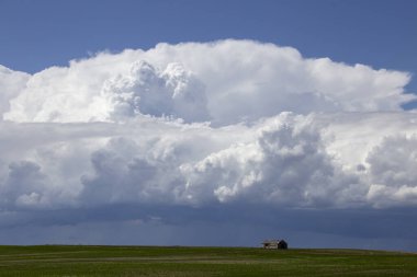 Bozkır Fırtınası Kanada 'yı Bulutlandırıyor