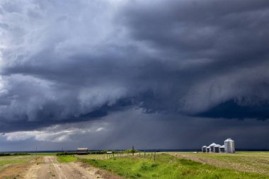 Bozkır Fırtınası Kanada 'yı Bulutlandırıyor