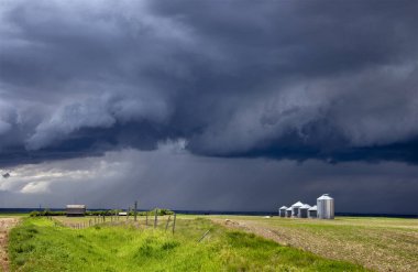 Bozkır Fırtınası Kanada 'yı Bulutlandırıyor