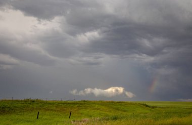 Bozkır Fırtınası Kanada 'yı Bulutlandırıyor