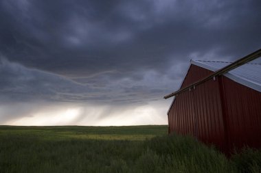 Bozkır Fırtınası Kanada 'yı Bulutlandırıyor