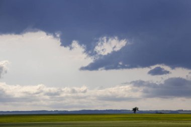 Bozkır Fırtınası Kanada 'yı Bulutlandırıyor