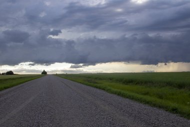 Bozkır Fırtınası Kanada 'yı Bulutlandırıyor