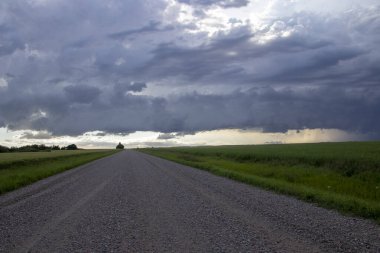 Bozkır Fırtınası Kanada 'yı Bulutlandırıyor