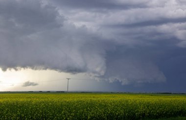Bozkır Fırtınası Kanada 'yı Bulutlandırıyor