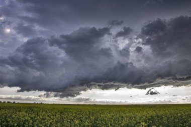 Bozkır Fırtınası Kanada 'yı Bulutlandırıyor