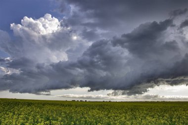 Bozkır Fırtınası Kanada 'yı Bulutlandırıyor