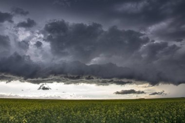 Bozkır Fırtınası Kanada 'yı Bulutlandırıyor