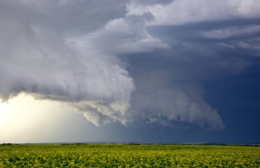 Bozkır Fırtınası Kanada 'yı Bulutlandırıyor