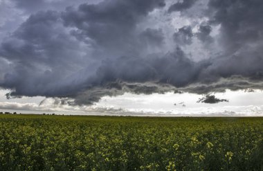Bozkır Fırtınası Kanada 'yı Bulutlandırıyor