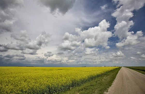 Prairie Storm Clouds Kanada — Stock Fotó