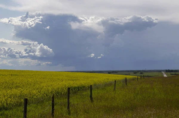 Nuvole di tempesta prateria Canada — Foto Stock