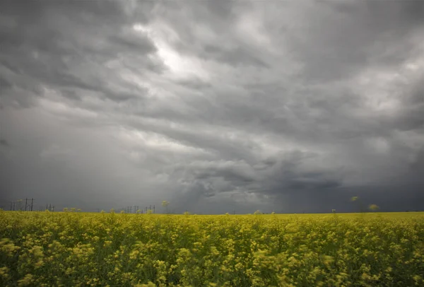 Prairie Storm Wolken Canada — Stockfoto