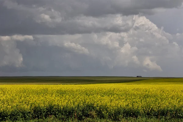 Prairie Storm Clouds Canada — стокове фото