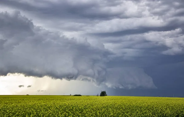 Prairie Storm Σύννεφα Καναδά — Φωτογραφία Αρχείου