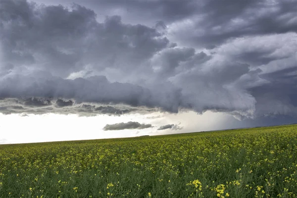 Prairie Storm Chmury Kanada — Zdjęcie stockowe