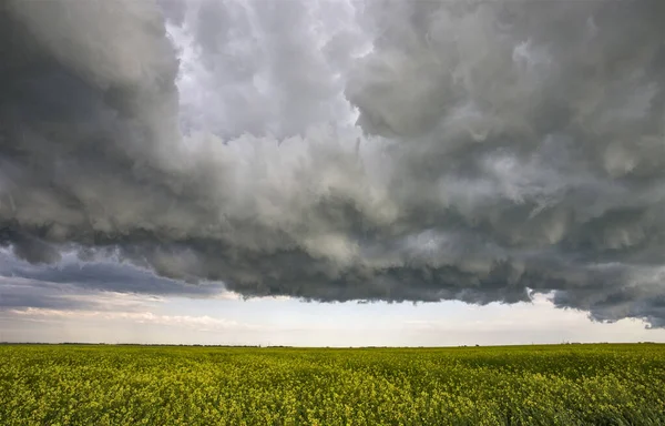 Prairie Storm Nubes Canadá Imagen De Stock