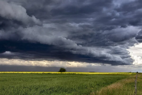 Prairie Storm Clouds Canadá Fotografias De Stock Royalty-Free