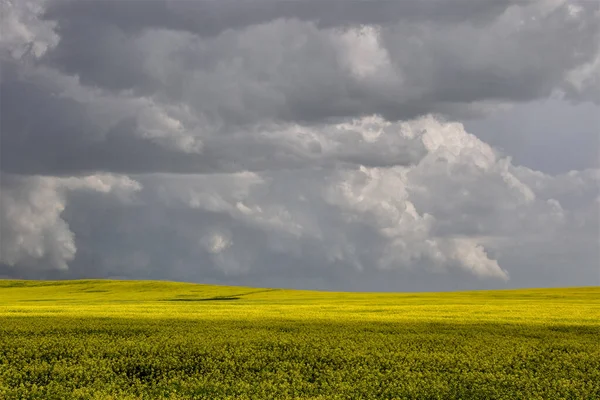 Prairie Storm Clouds Canadá Fotografia De Stock