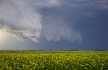 Bozkır Fırtınası Kanada 'yı Bulutlandırıyor