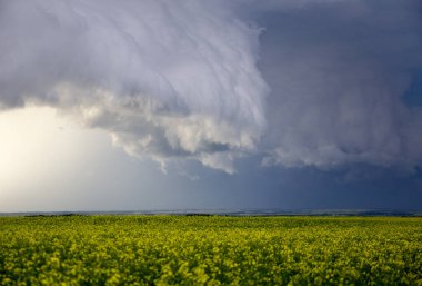 Bozkır Fırtınası Kanada 'yı Bulutlandırıyor