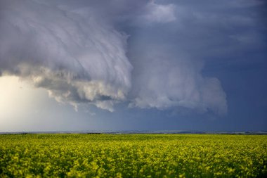 Bozkır Fırtınası Kanada 'yı Bulutlandırıyor