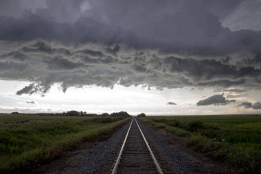 Bozkır Fırtınası Kanada 'yı Bulutlandırıyor