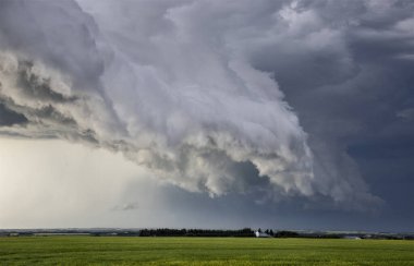 Bozkır Fırtınası Kanada 'yı Bulutlandırıyor