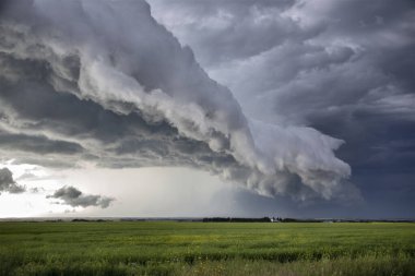 Bozkır Fırtınası Kanada 'yı Bulutlandırıyor