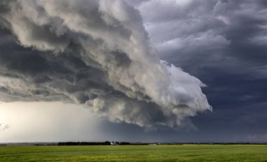 Bozkır Fırtınası Kanada 'yı Bulutlandırıyor