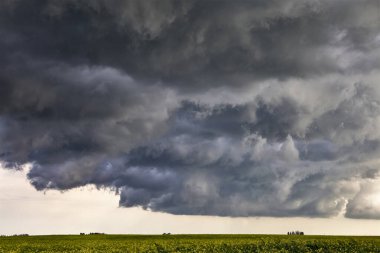 Bozkır Fırtınası Kanada 'yı Bulutlandırıyor