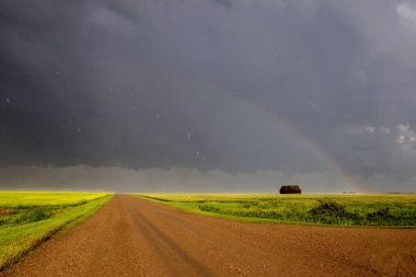 Bozkır Fırtınası Kanada 'yı Bulutlandırıyor