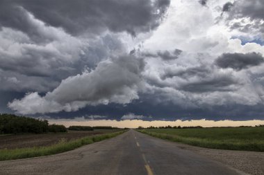 Bozkır Fırtınası Kanada 'yı Bulutlandırıyor