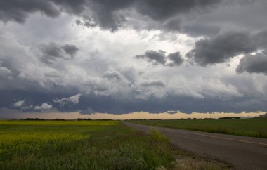 Bozkır Fırtınası Kanada 'yı Bulutlandırıyor