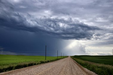 Bozkır Fırtınası Kanada 'yı Bulutlandırıyor