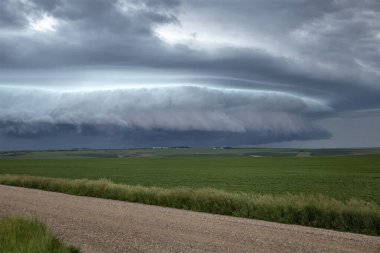 Bozkır Fırtınası Kanada 'yı Bulutlandırıyor