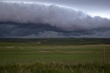 Bozkır Fırtınası Kanada 'yı Bulutlandırıyor