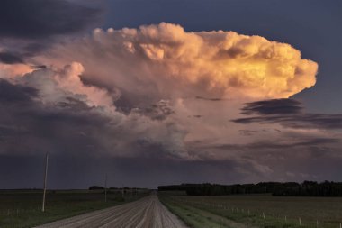 Bozkır Fırtınası Kanada 'yı Bulutlandırıyor