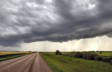 Bozkır Fırtınası Kanada 'yı Bulutlandırıyor
