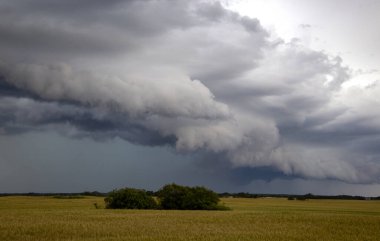 Bozkır Fırtınası Kanada 'yı Bulutlandırıyor