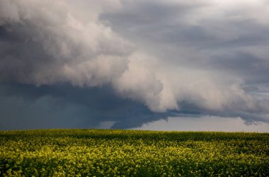Bozkır Fırtınası Kanada 'yı Bulutlandırıyor