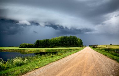 Bozkır Fırtınası Kanada 'yı Bulutlandırıyor