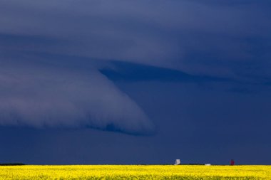 Bozkır Fırtınası Kanada 'yı Bulutlandırıyor