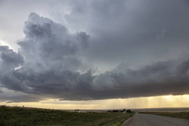 Bozkır Fırtınası Kanada 'yı Bulutlandırıyor