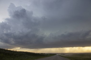 Bozkır Fırtınası Kanada 'yı Bulutlandırıyor