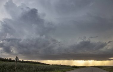Bozkır Fırtınası Kanada 'yı Bulutlandırıyor